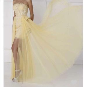 Couture Dress